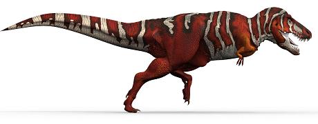 Tyrannosaurus rex picture 13